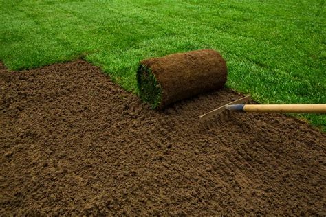 Sod installation cost. Things To Know About Sod installation cost. 